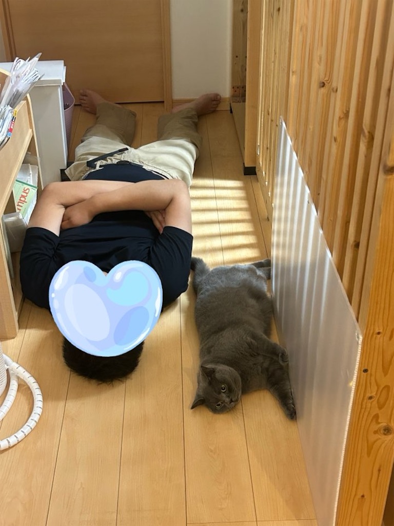 f:id:asarinokaasan:20260521225742j:image