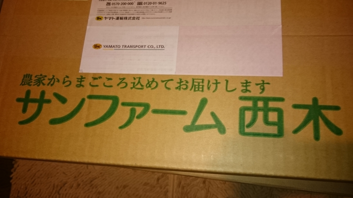 f:id:asarinomisosoup:20191112040757j:plain