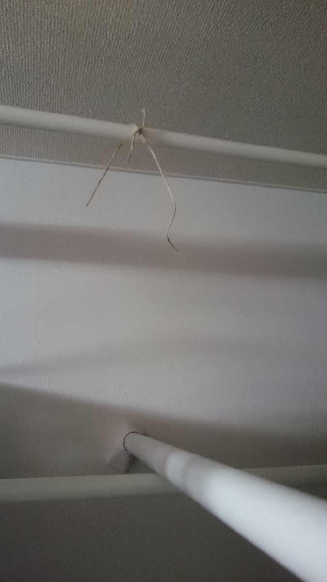 f:id:asarinomisosoup:20191209015630j:plain