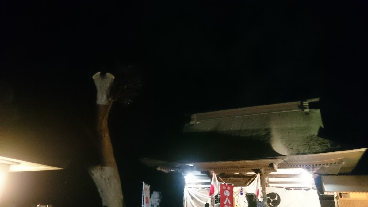 f:id:asarinomisosoup:20200101231433j:plain