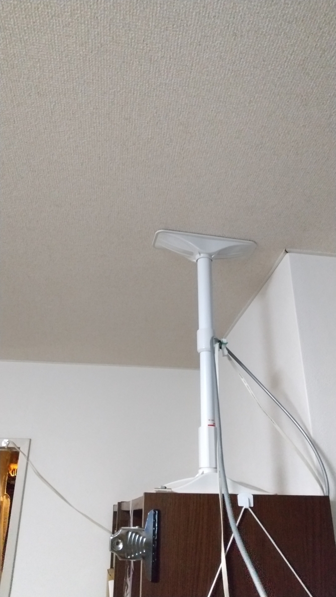 f:id:asarinomisosoup:20201008025729j:plain