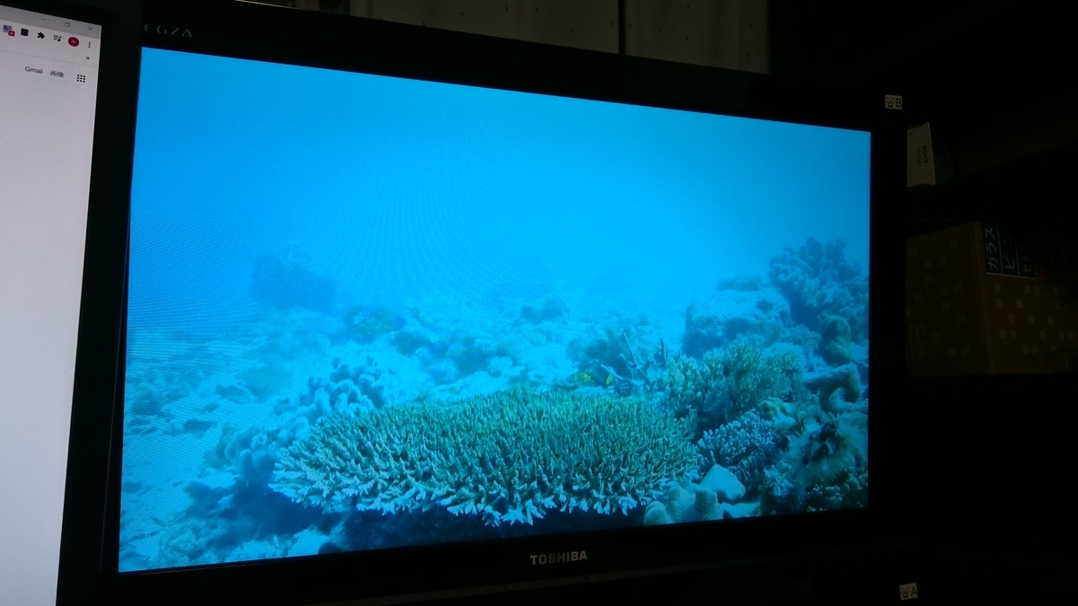 f:id:asarinomisosoup:20201009001808j:plain