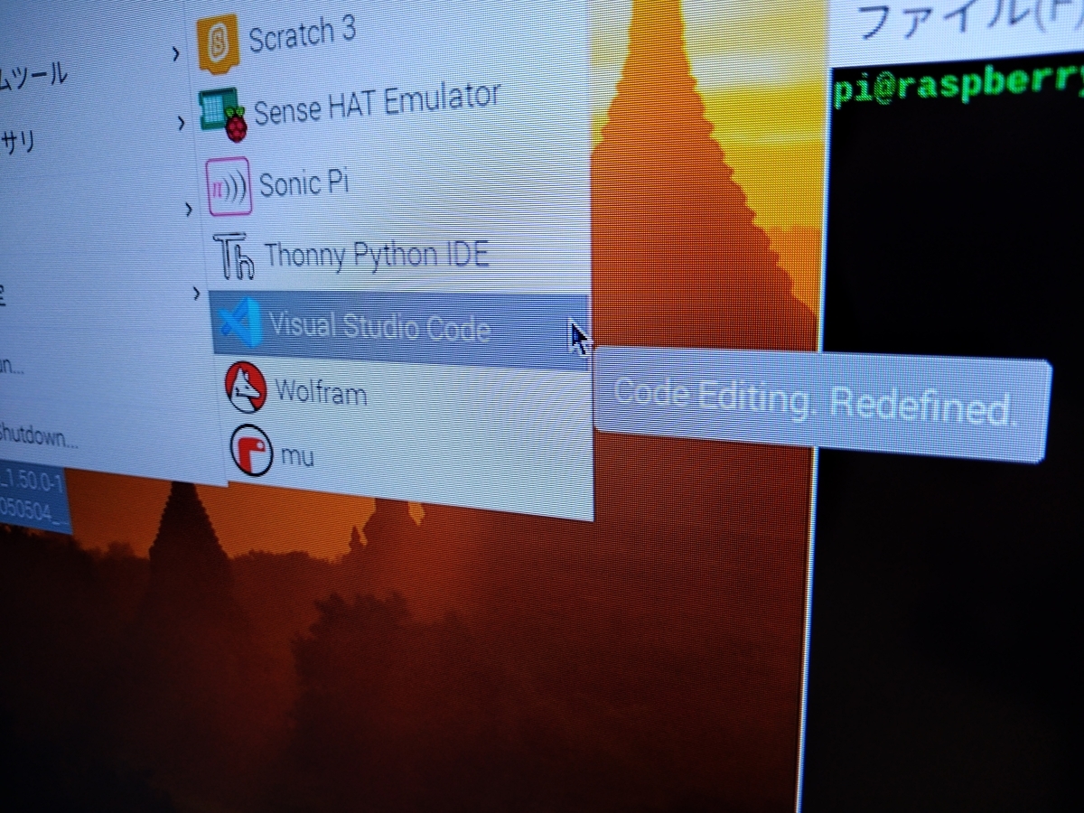 f:id:asarinomisosoup:20201010022924j:plain