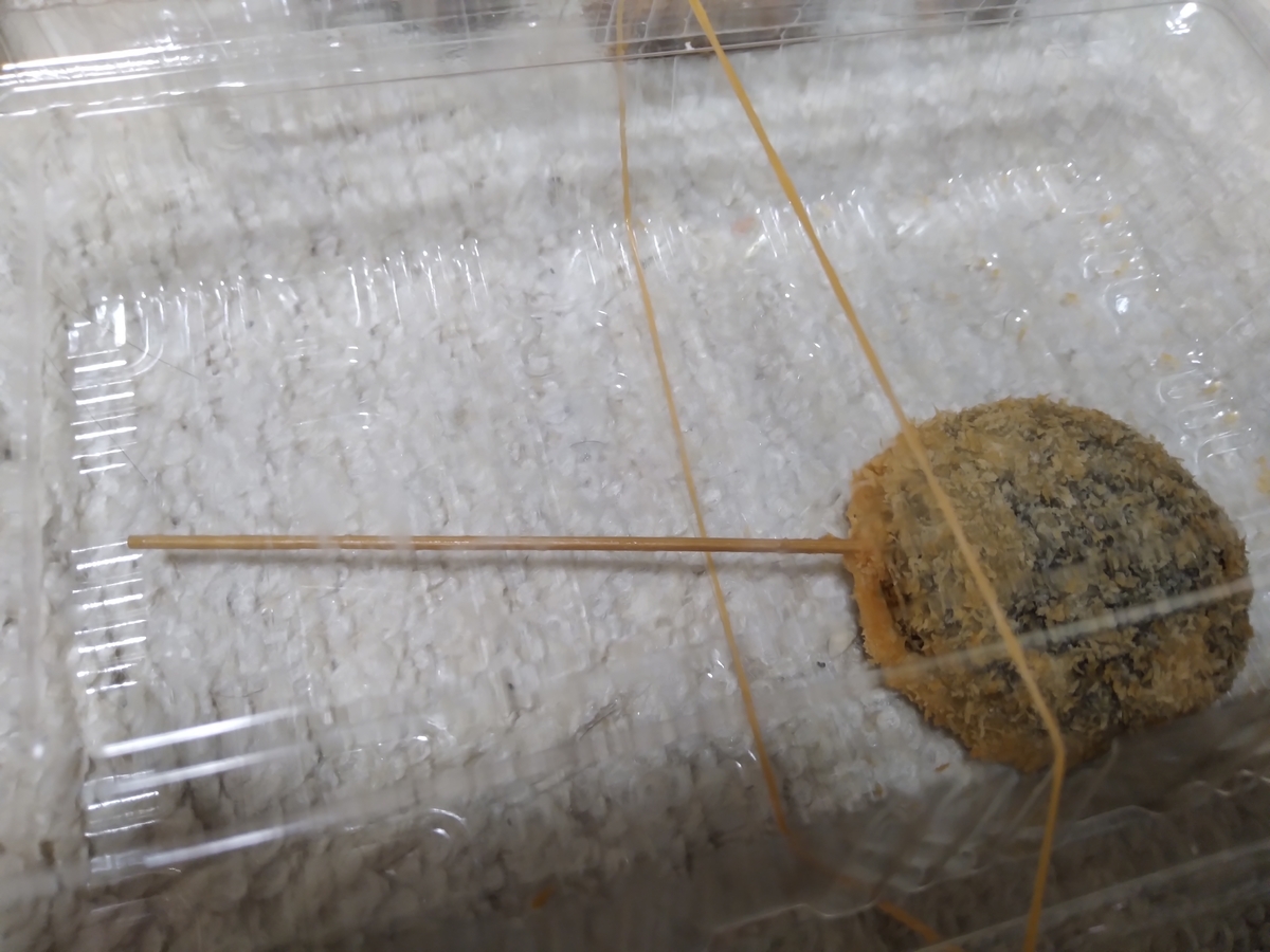 f:id:asarinomisosoup:20201025174551j:plain