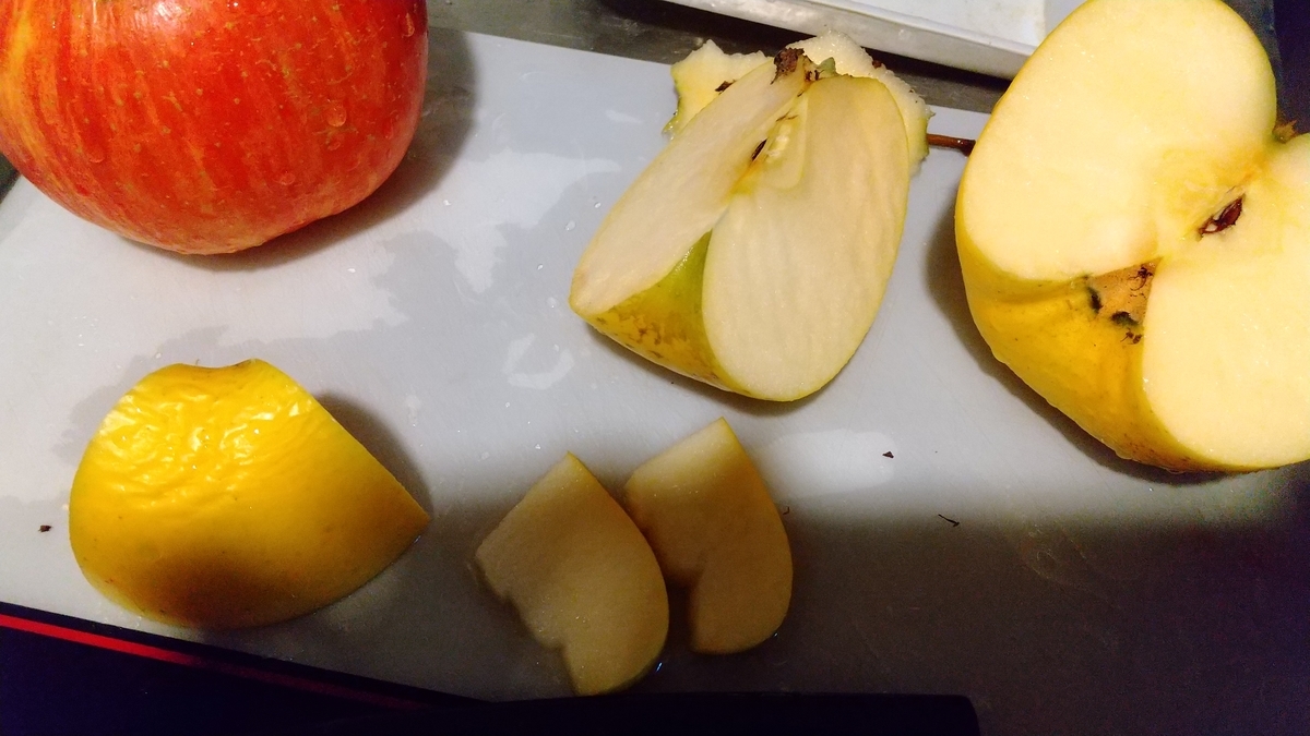 f:id:asarinomisosoup:20210109151509j:plain