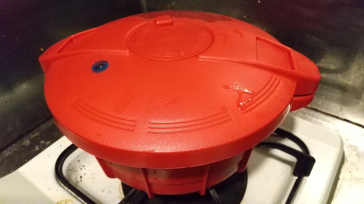 f:id:asarinomisosoup:20210109151942j:plain