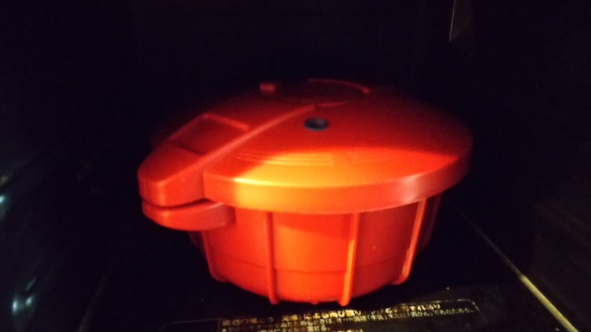 f:id:asarinomisosoup:20210109152030j:plain