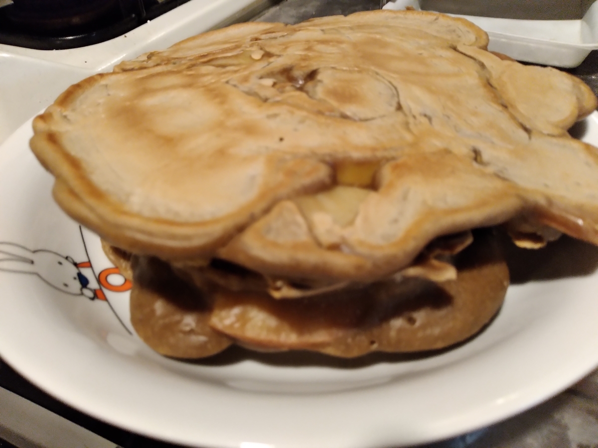 f:id:asarinomisosoup:20210109153809j:plain