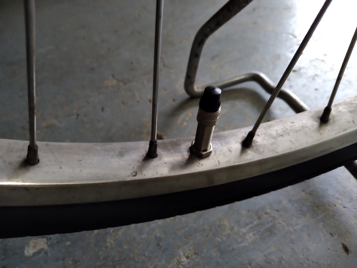 f:id:asarinomisosoup:20210516133815j:plain