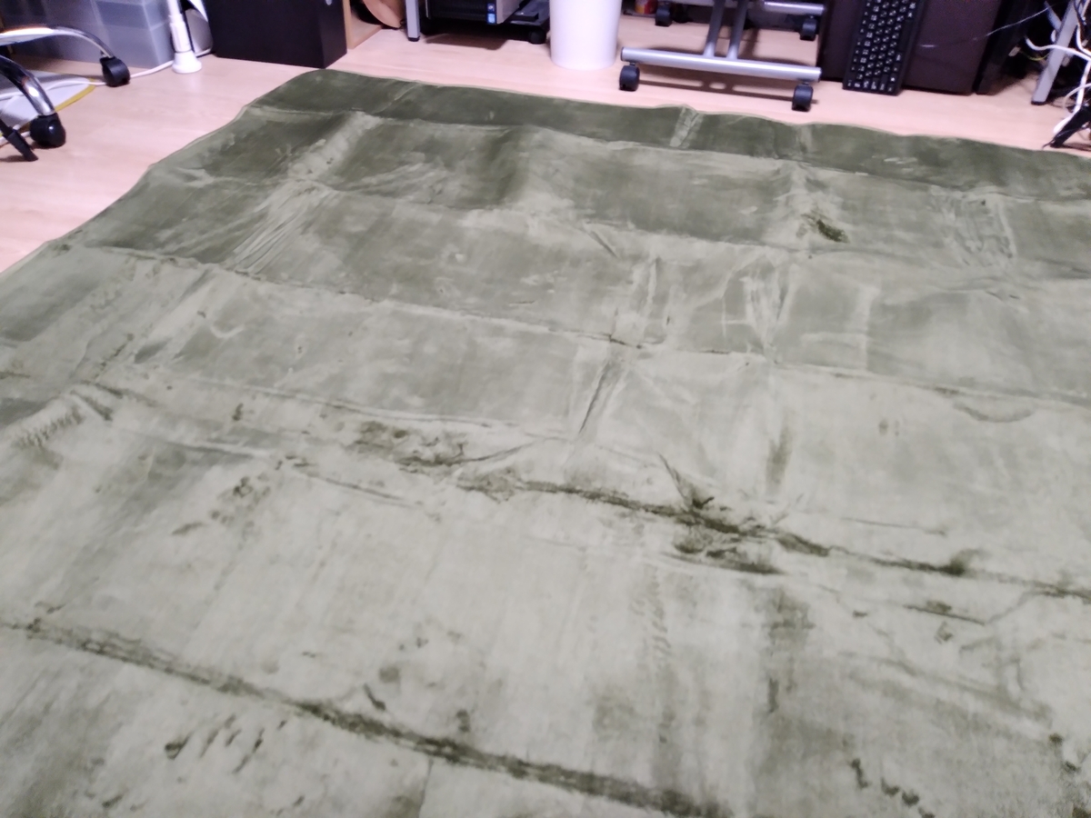 f:id:asarinomisosoup:20210811212020j:plain