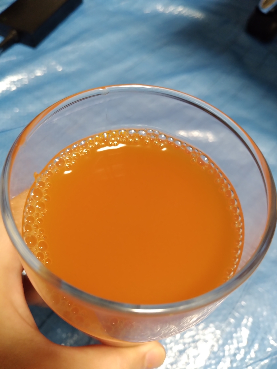 f:id:asarinomisosoup:20210920231609j:plain