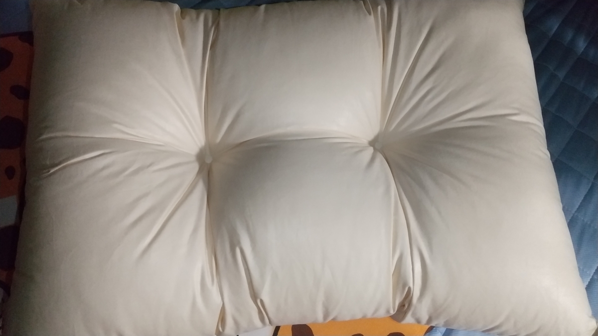 f:id:asarinomisosoup:20211219105016j:plain