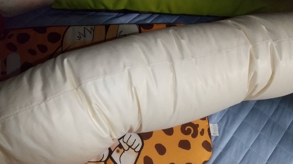 f:id:asarinomisosoup:20211219105034j:plain