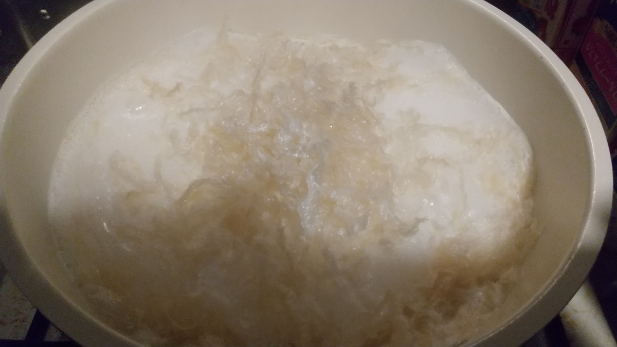 f:id:asarinomisosoup:20211219220542j:plain