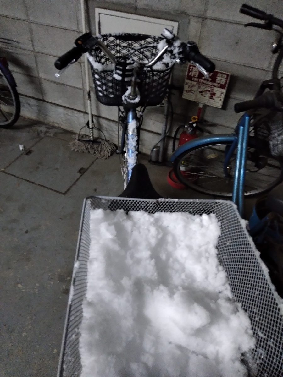 f:id:asarinomisosoup:20220106202859j:plain