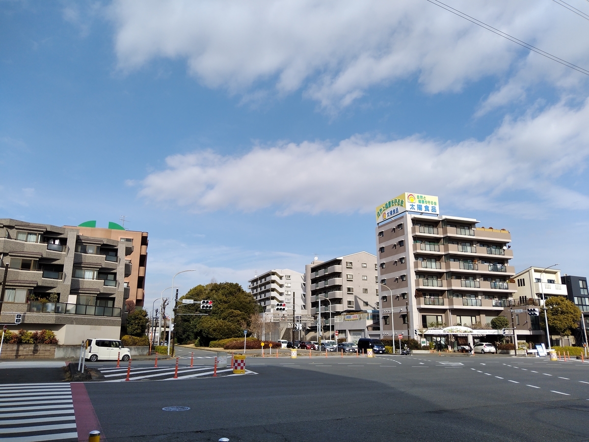 f:id:asarinomisosoup:20220129144831j:plain