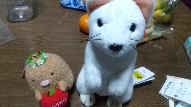 f:id:asarinomisosoup:20230102234815j:image