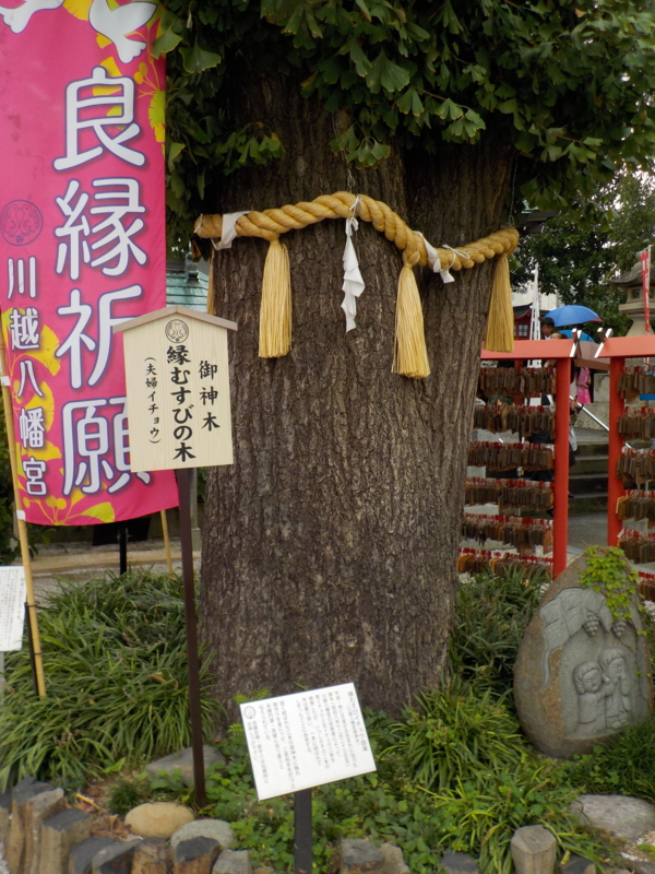 f:id:asasikibu:20161114165308j:plain f:id:asasikibu:20161114165308j:plain