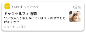 f:id:asasikibu:20171214231148j:plain f:id:asasikibu:20171214231148j:plain