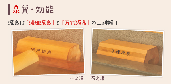 f:id:asasikibu:20180202173859j:plain f:id:asasikibu:20180202173859j:plain