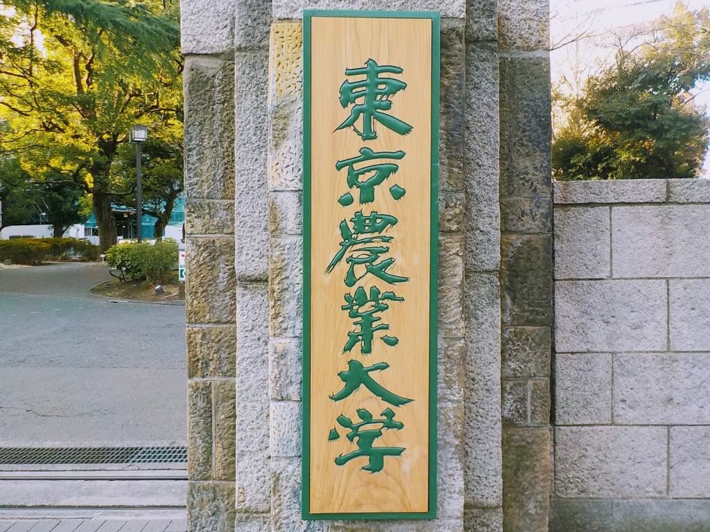 f:id:asasikibu:20190216000144j:plain f:id:asasikibu:20190216000144j:plain