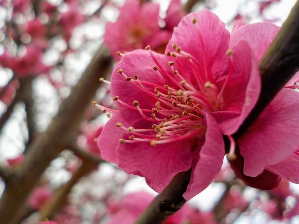 f:id:asasikibu:20190216000413j:plain f:id:asasikibu:20190216000413j:plain
