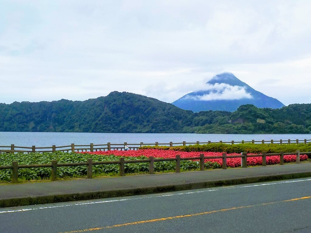 f:id:asasikibu:20190707181856j:plain f:id:asasikibu:20190707181856j:plain