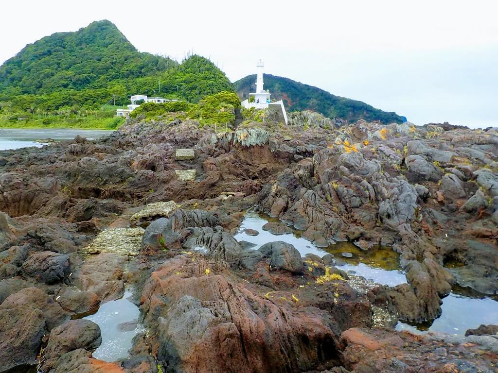 f:id:asasikibu:20190707181938j:plain f:id:asasikibu:20190707181938j:plain