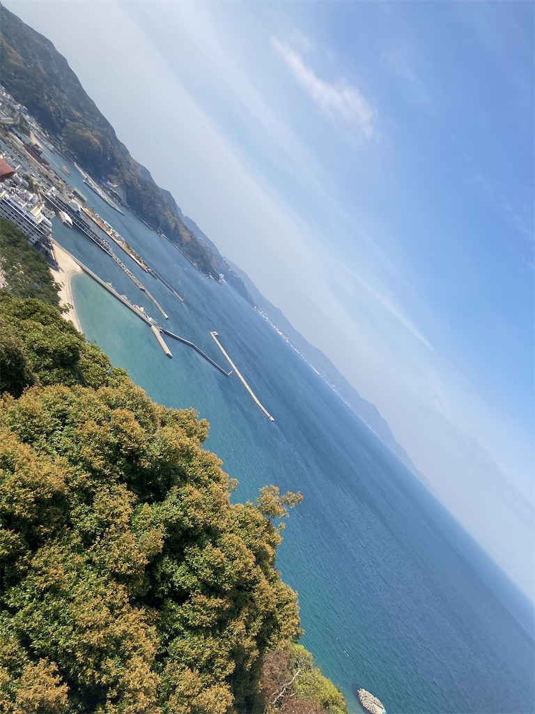 f:id:asasyooo:20230626201519j:image