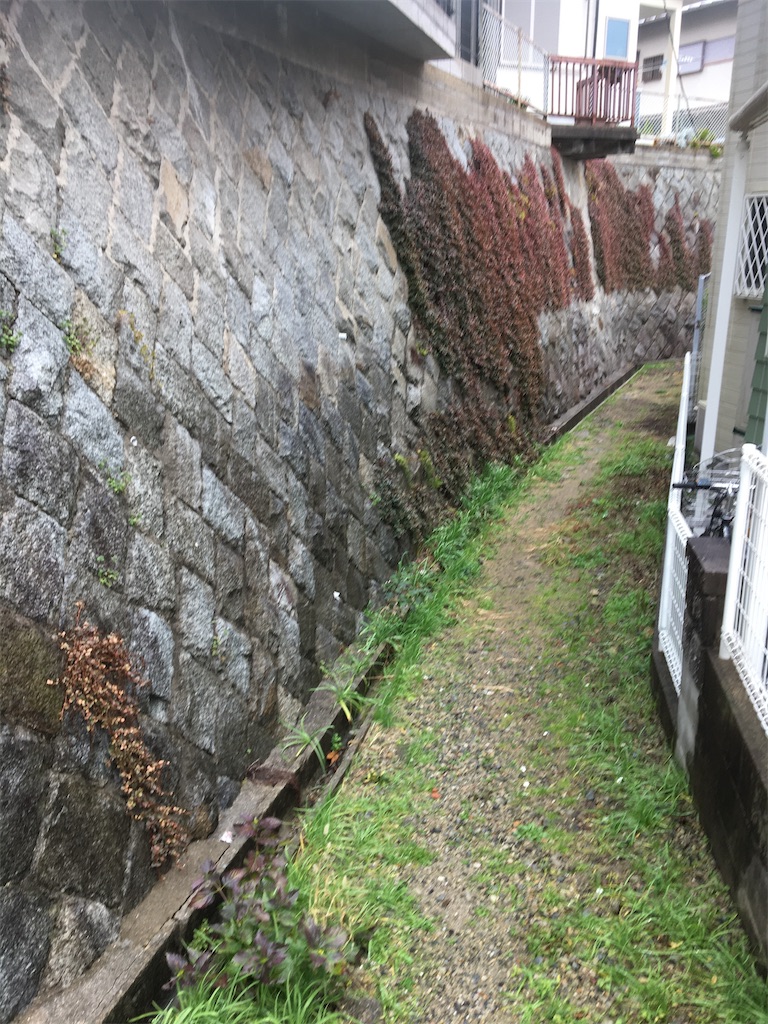 f:id:asasyukan:20200308154748j:image