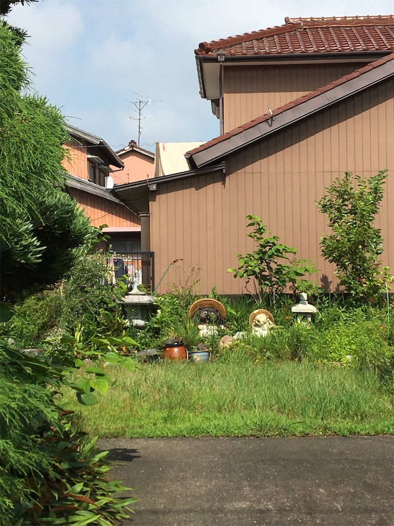 f:id:asasyukan:20200719092608j:plain