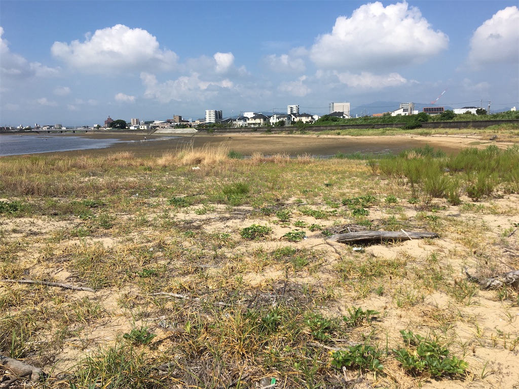 f:id:asasyukan:20200830144214j:image