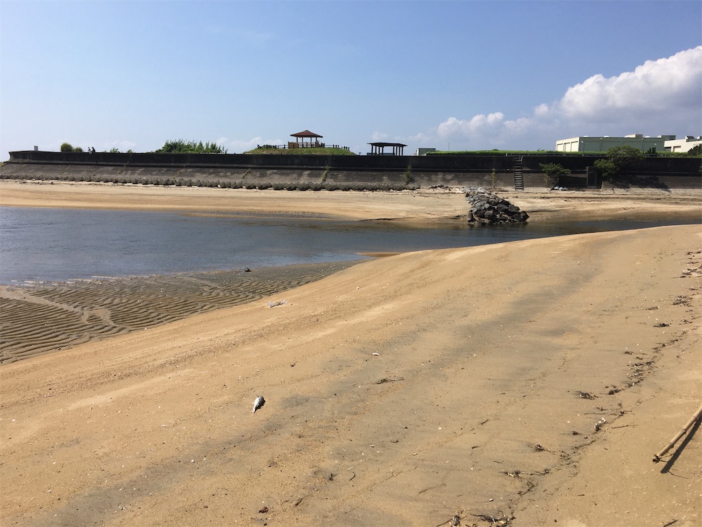 f:id:asasyukan:20200830144233j:image