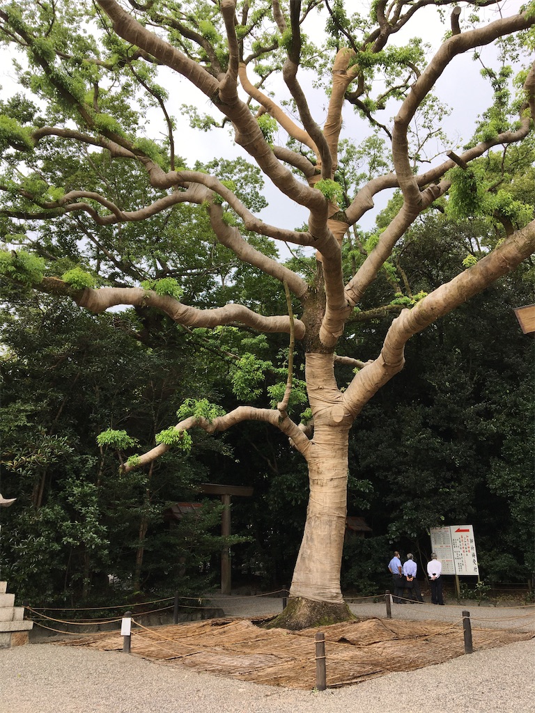 f:id:asasyukan:20200918054748j:image