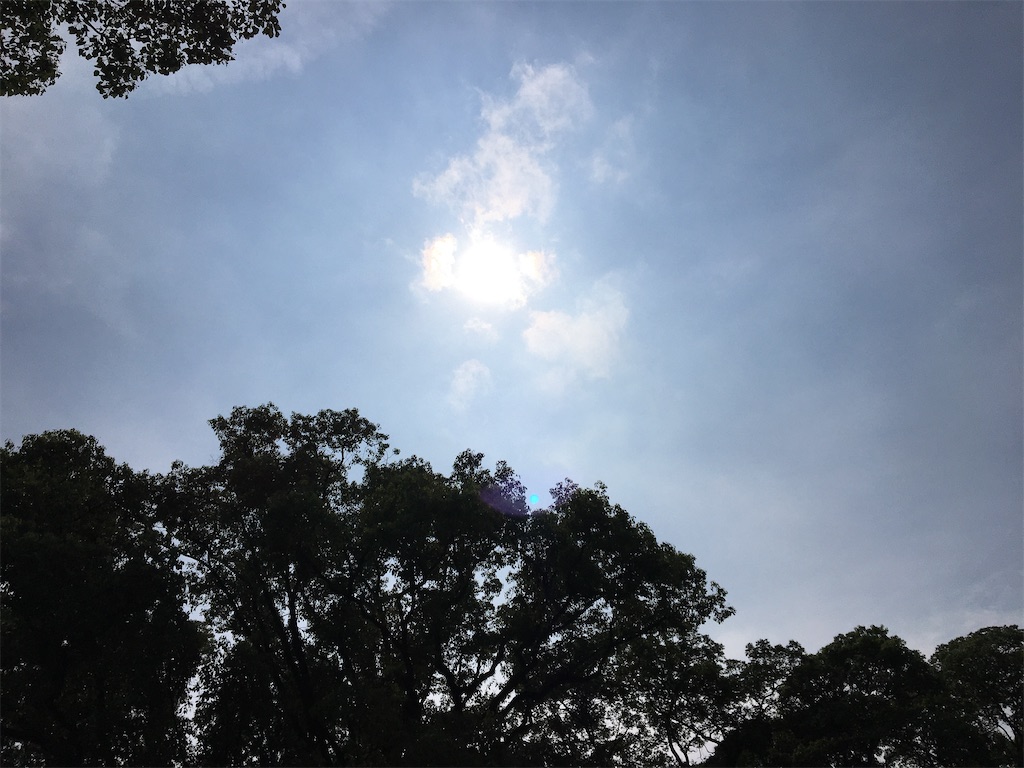 f:id:asasyukan:20200918054819j:image