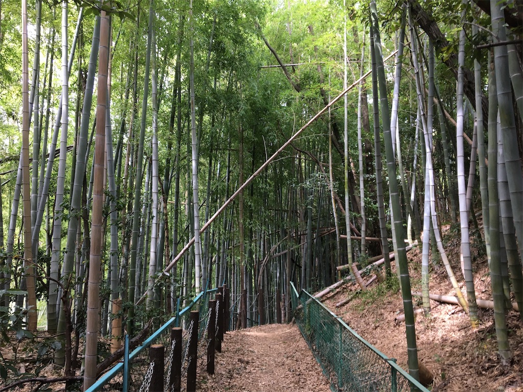 f:id:asasyukan:20200922165936j:image