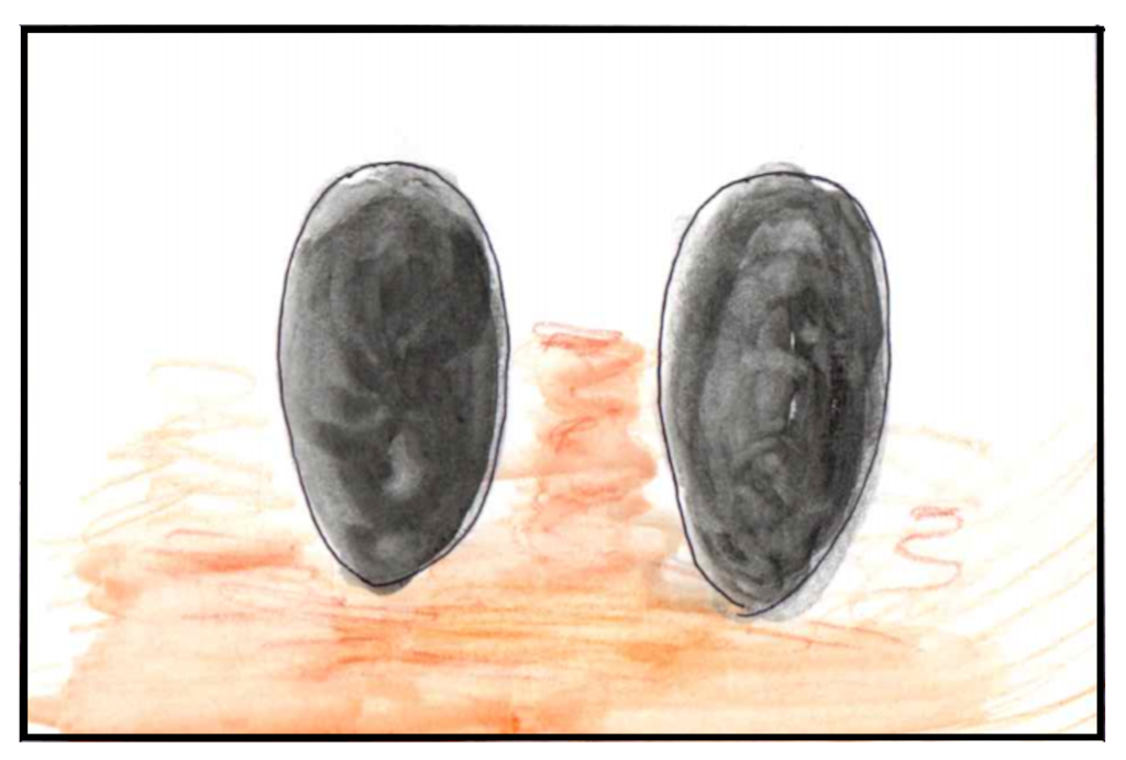 f:id:asasyukan:20201226080527p:image