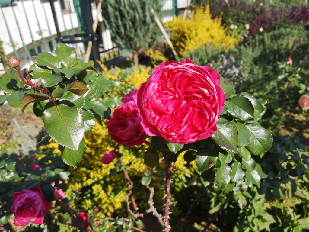 f:id:asato418:20181201215332p:plain