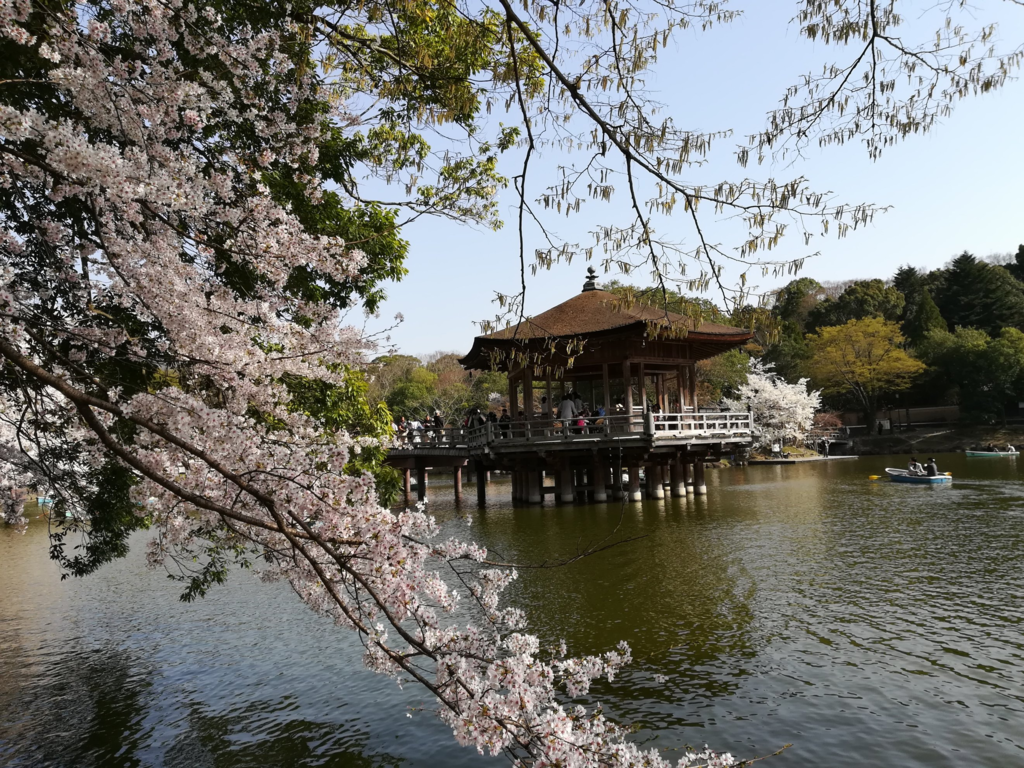 f:id:asato418:20181204202845p:plain