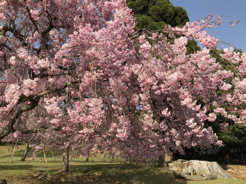 f:id:asato418:20181204203137p:plain