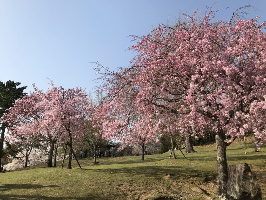 f:id:asato418:20181204203240p:plain