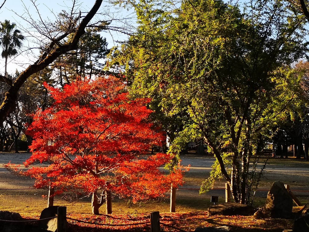 f:id:asato418:20181216083829j:plain