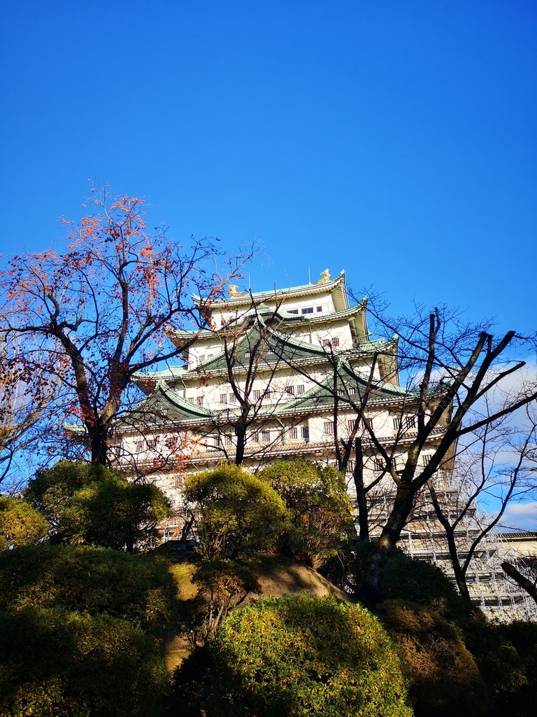 f:id:asato418:20181216084319j:plain