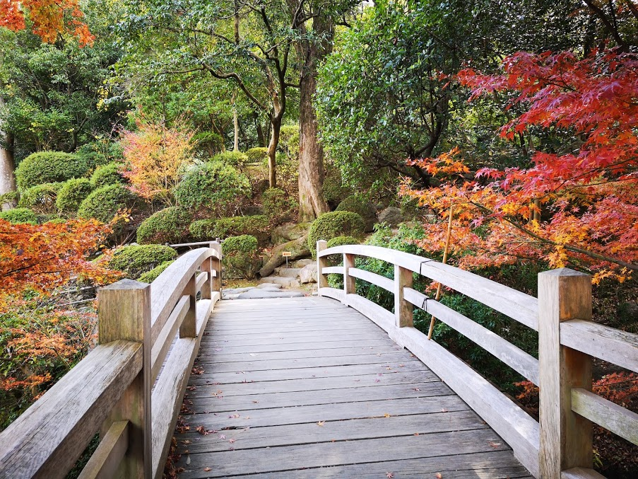 f:id:asato418:20181217225751p:plain