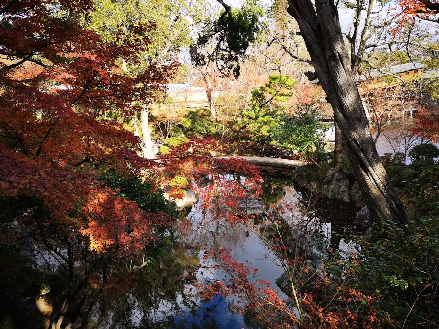 f:id:asato418:20181217225807p:plain