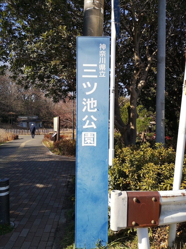 f:id:asato418:20190203205023j:plain