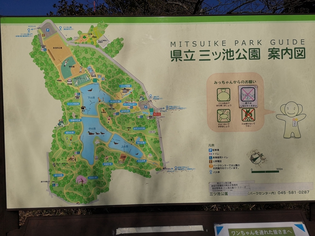 f:id:asato418:20190203205317j:plain