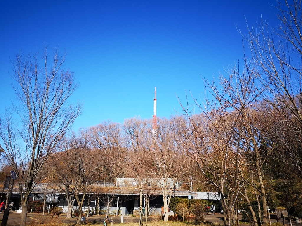 f:id:asato418:20190203205831j:plain