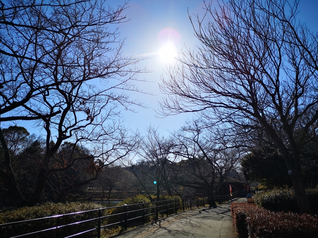 f:id:asato418:20190203211155j:plain