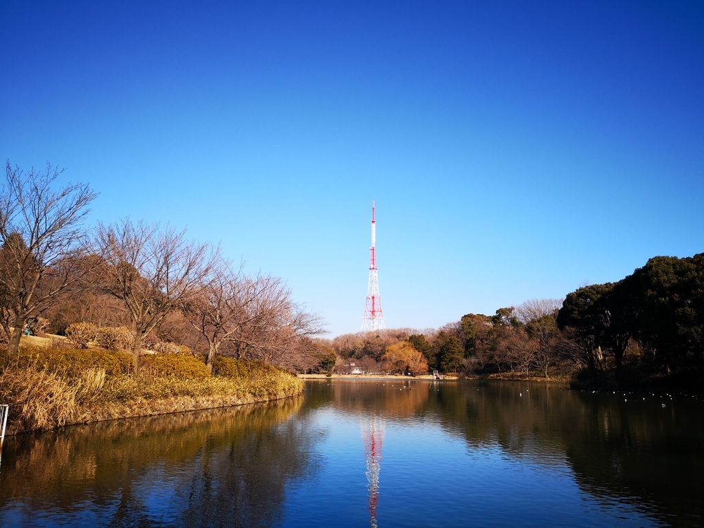 f:id:asato418:20190203211428j:plain